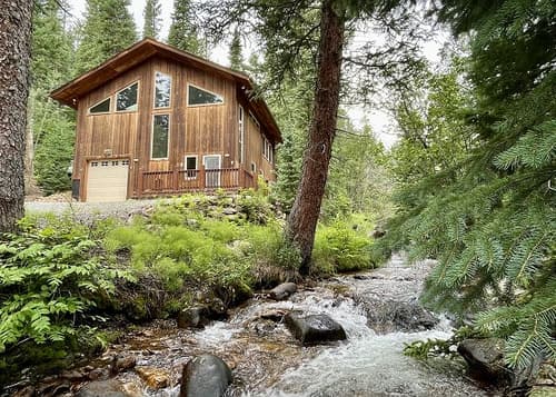 New! Secluded Forest Oasis - Backs up to National Forest - Fireplace / Grill